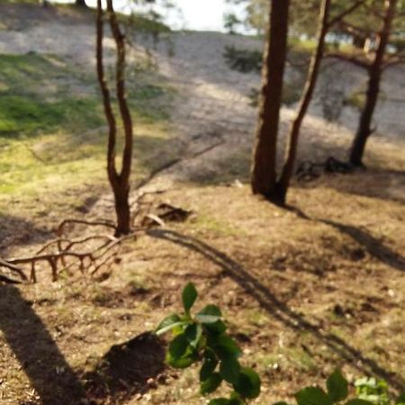 Natur-Freude-16 Kotzen Dış mekan fotoğraf